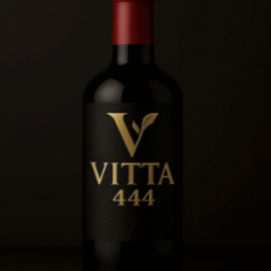 bohemian rhapsody attire