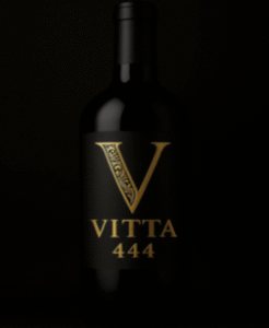 midnight gala maxi dress