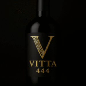 midnight gala maxi dress